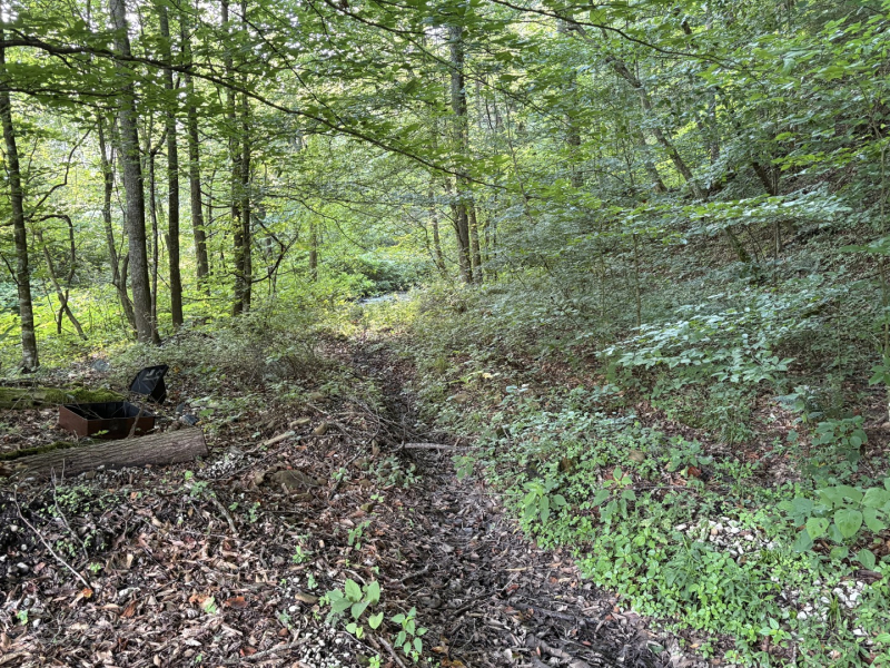 Escape to the Hills: Tract 1 Martins Creek
